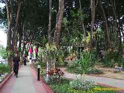 images/gallery/bungkul_park/bungkul-park-surabaya-20.jpg