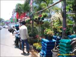 images/gallery/kayoon/kayoon-flower-market-01.jpg